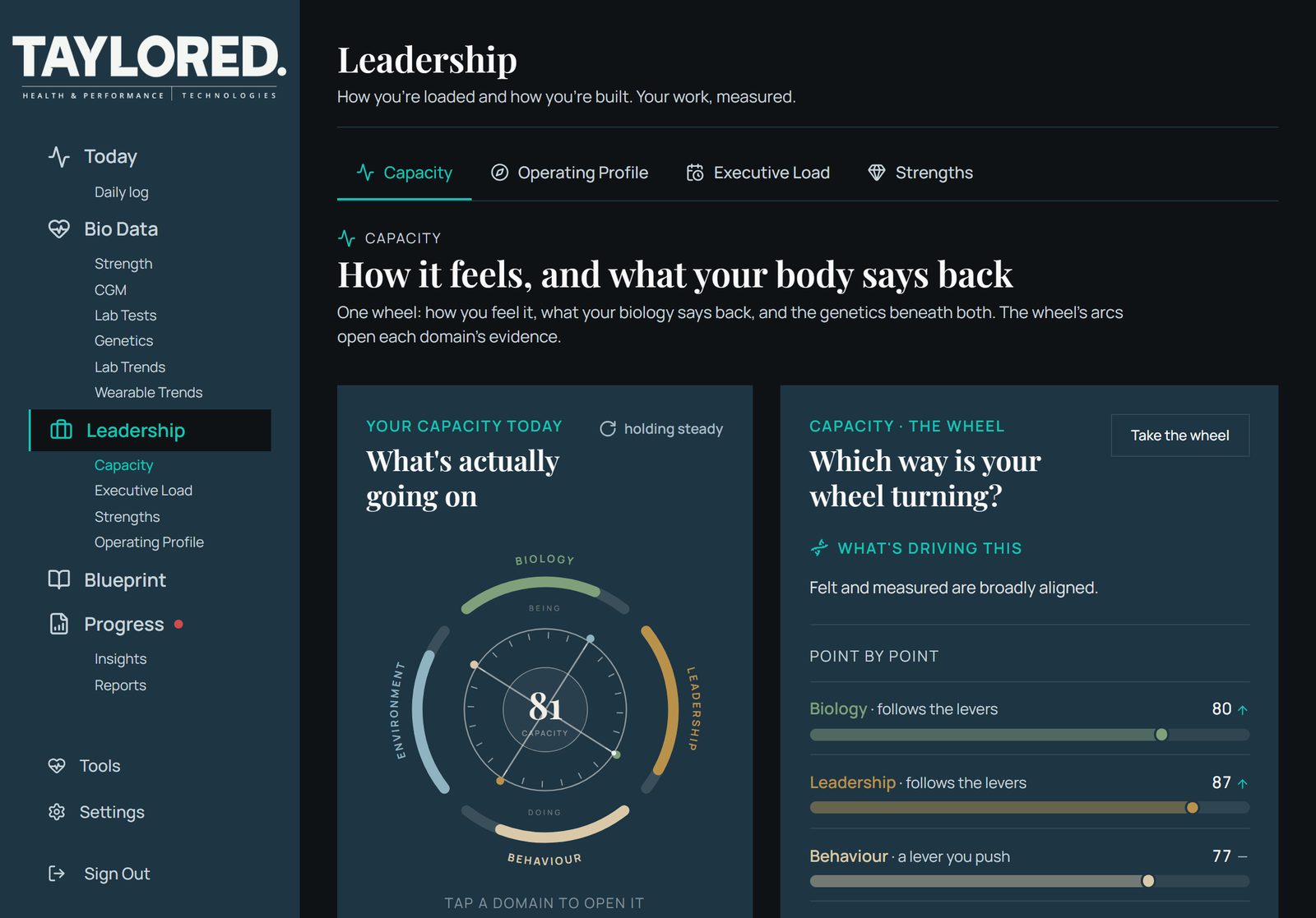ExecOS on iPad: the Leadership Capacity Wheel at 81, with the point-by-point breakdown of what&rsquo;s driving it
